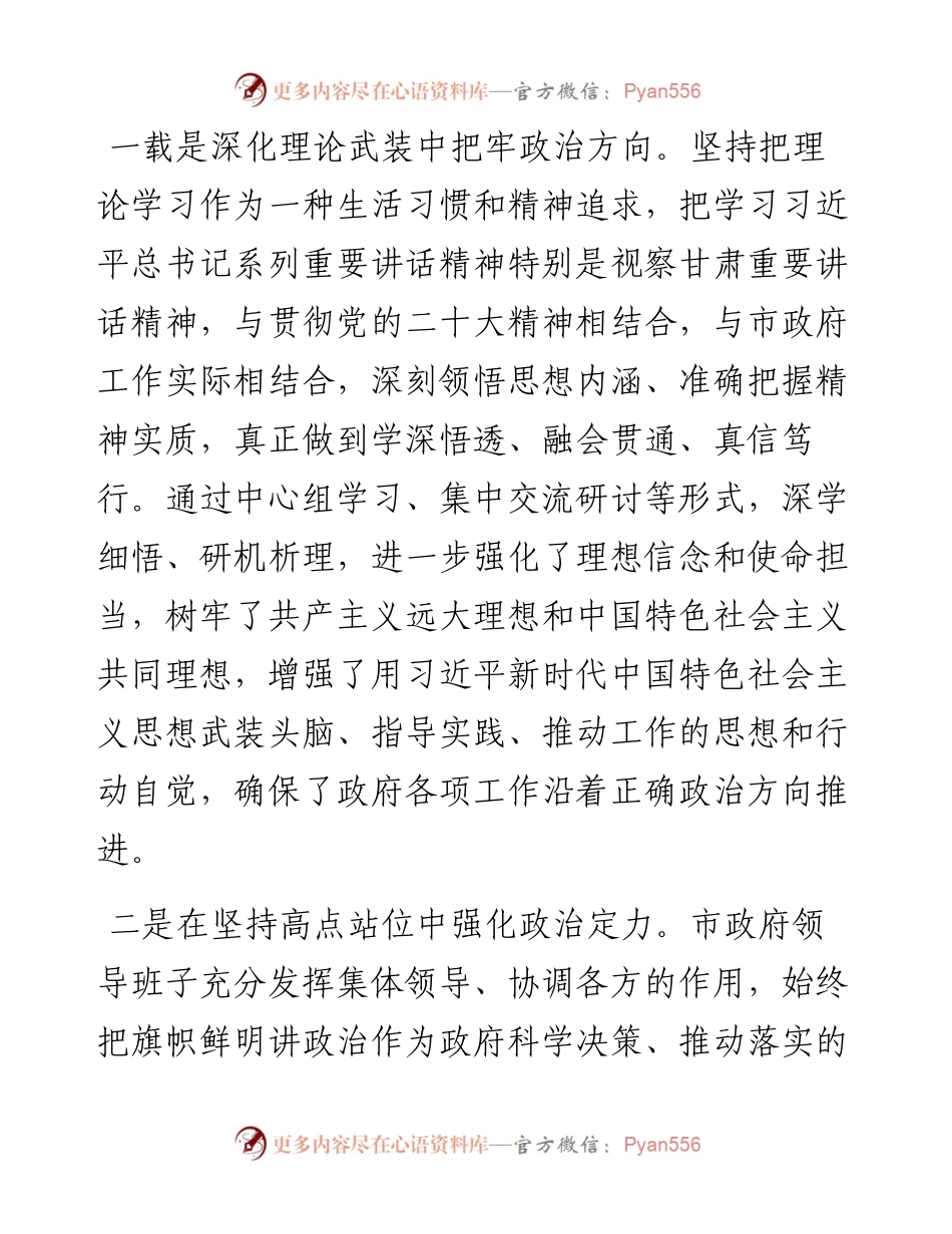 市政府班子政治素质自查报告.docx_第2页