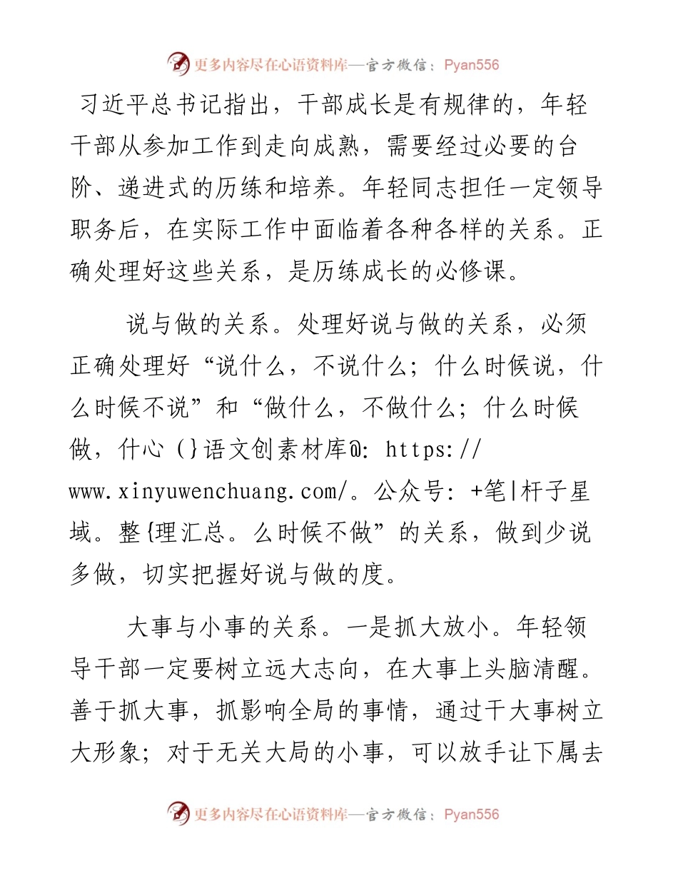 年轻领导干部应处理好十种关系.docx_第1页