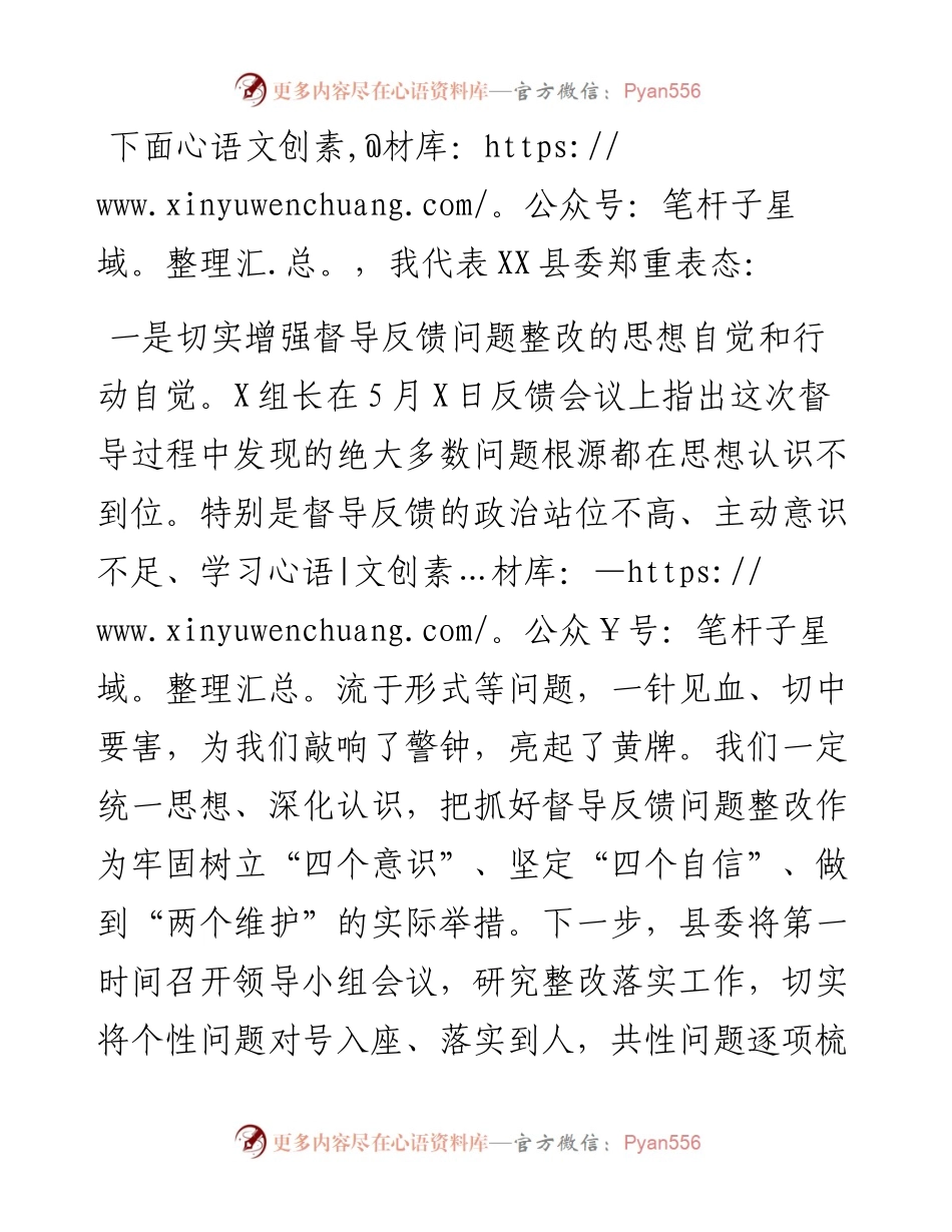 政法队伍教育整顿反馈问题表态发言.docx_第2页