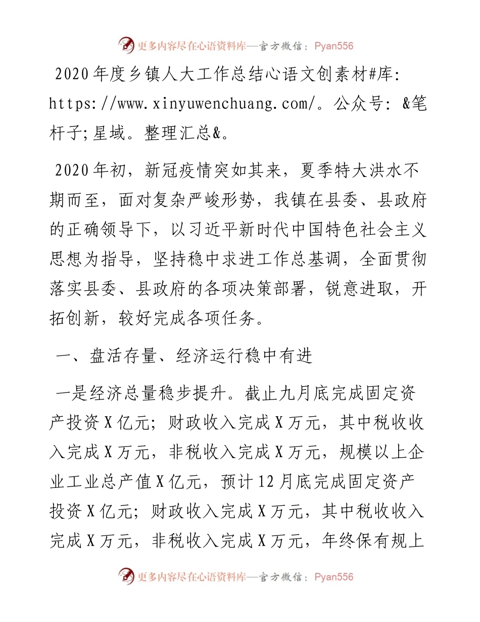 度乡镇人大工作总结.docx_第1页