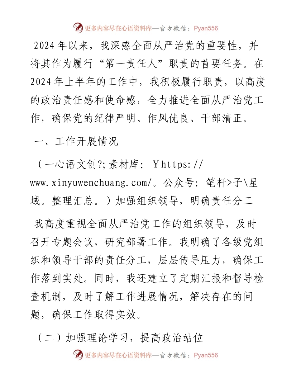 市长2024年上半年履行全面从严治党“第一责任人”情况报告.docx_第1页