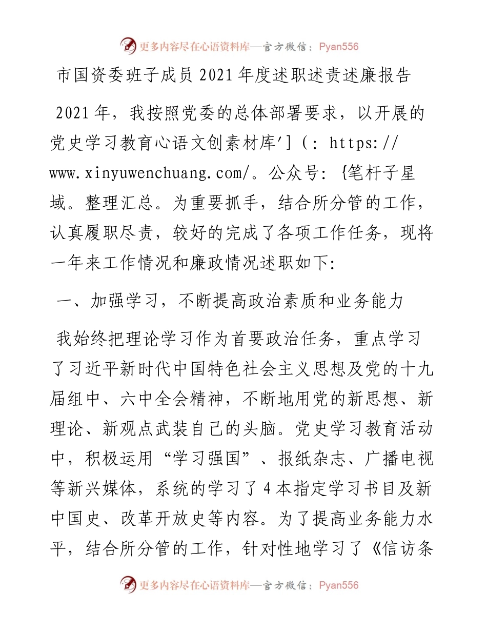 市国资委班子成员度述职述责述廉报告.docx_第1页