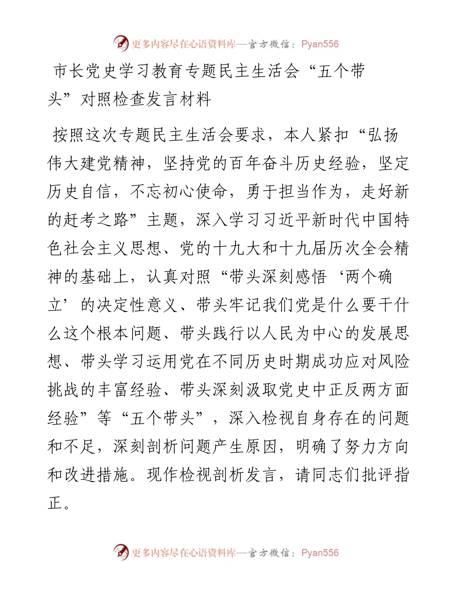 市长党史学习教育专题民主生活会“五个带头”对照检查发言材料.docx_第1页