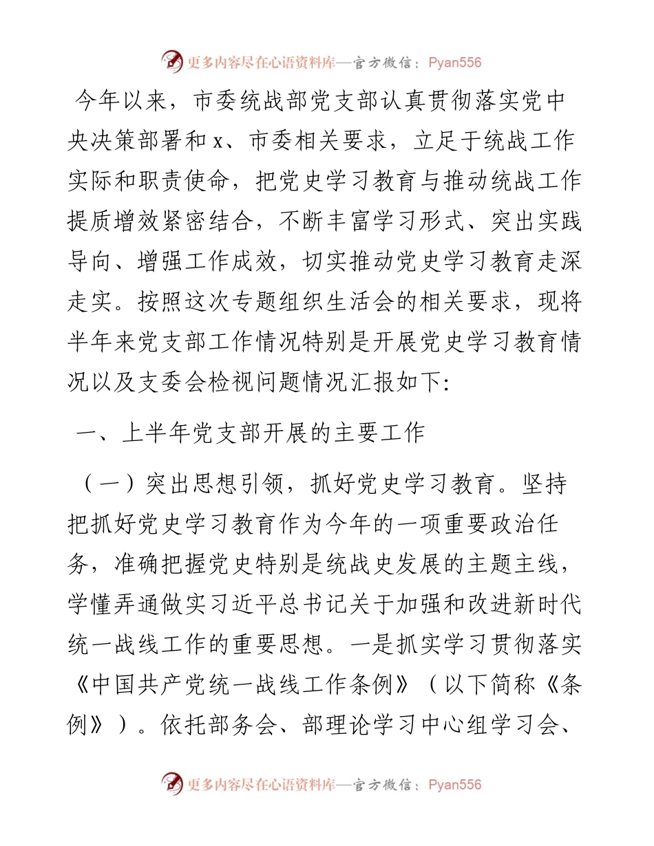 市委统战部党支部半年工作总结级党史学习教育专题组织生活会检视剖析材料.docx_第1页