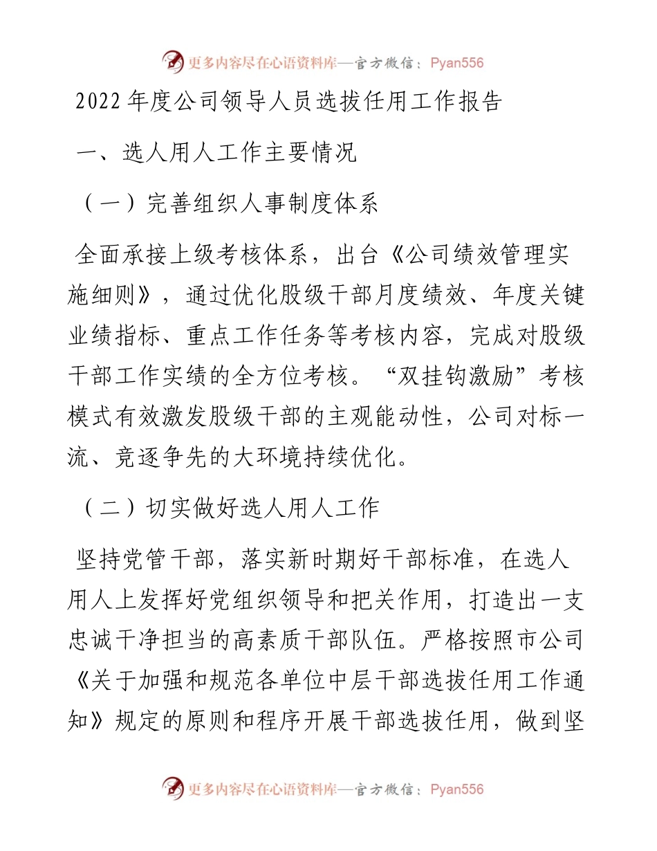 度公司领导人员选拔任用工作报告.docx_第1页