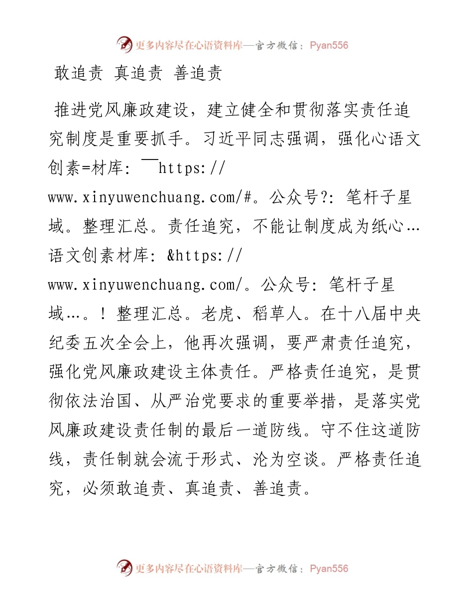 敢追责 真追责 善追责.docx_第1页