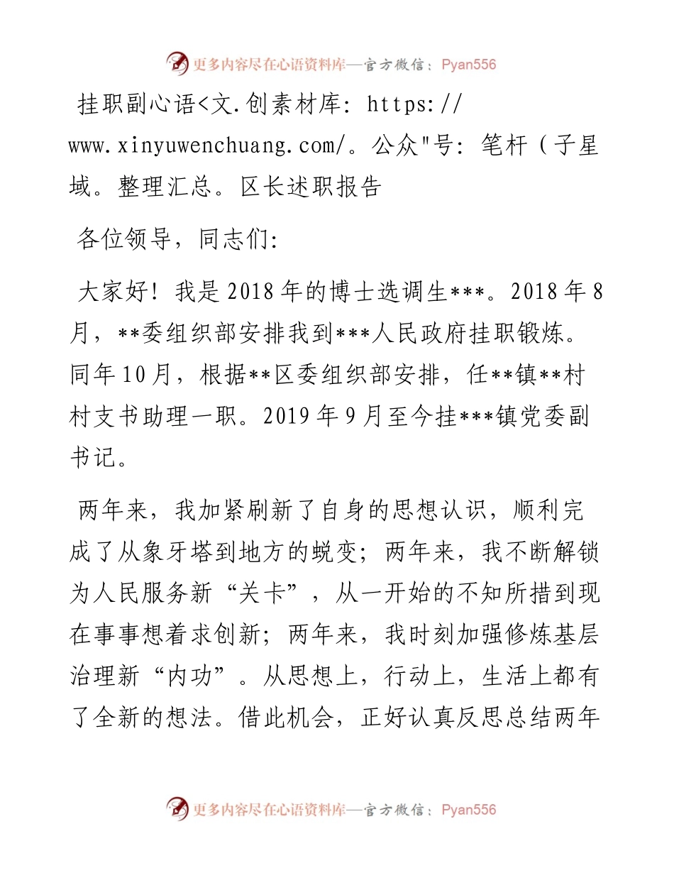 挂职副区长述职报告.docx_第1页