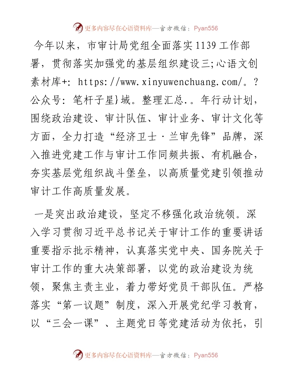 市审计局党组书记交流发言：：党建引领 品牌聚能 推动审计工作高质量发展.docx_第1页