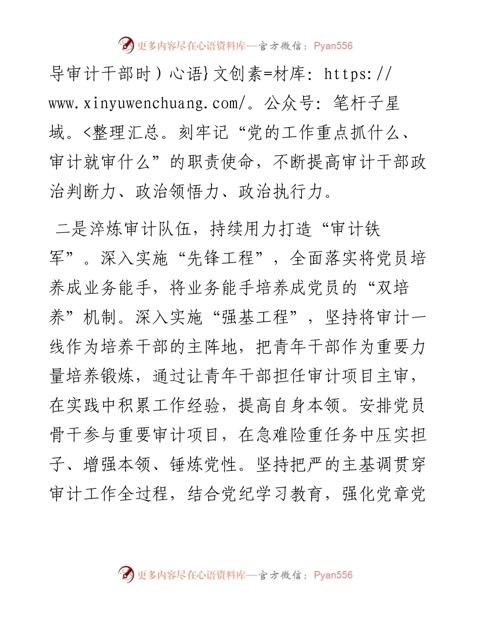 市审计局党组书记交流发言：：党建引领 品牌聚能 推动审计工作高质量发展.docx_第2页