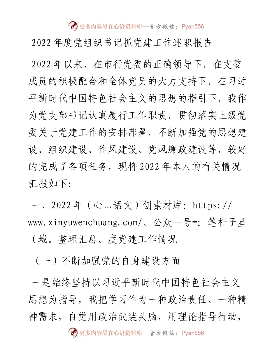 度党组织书记抓党建工作述职报告.docx_第1页