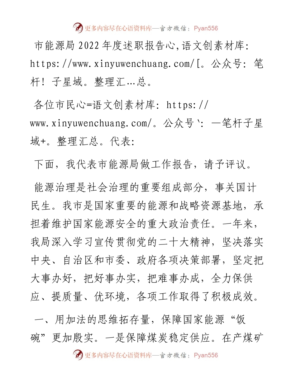 市能源局度述职报告.docx_第1页