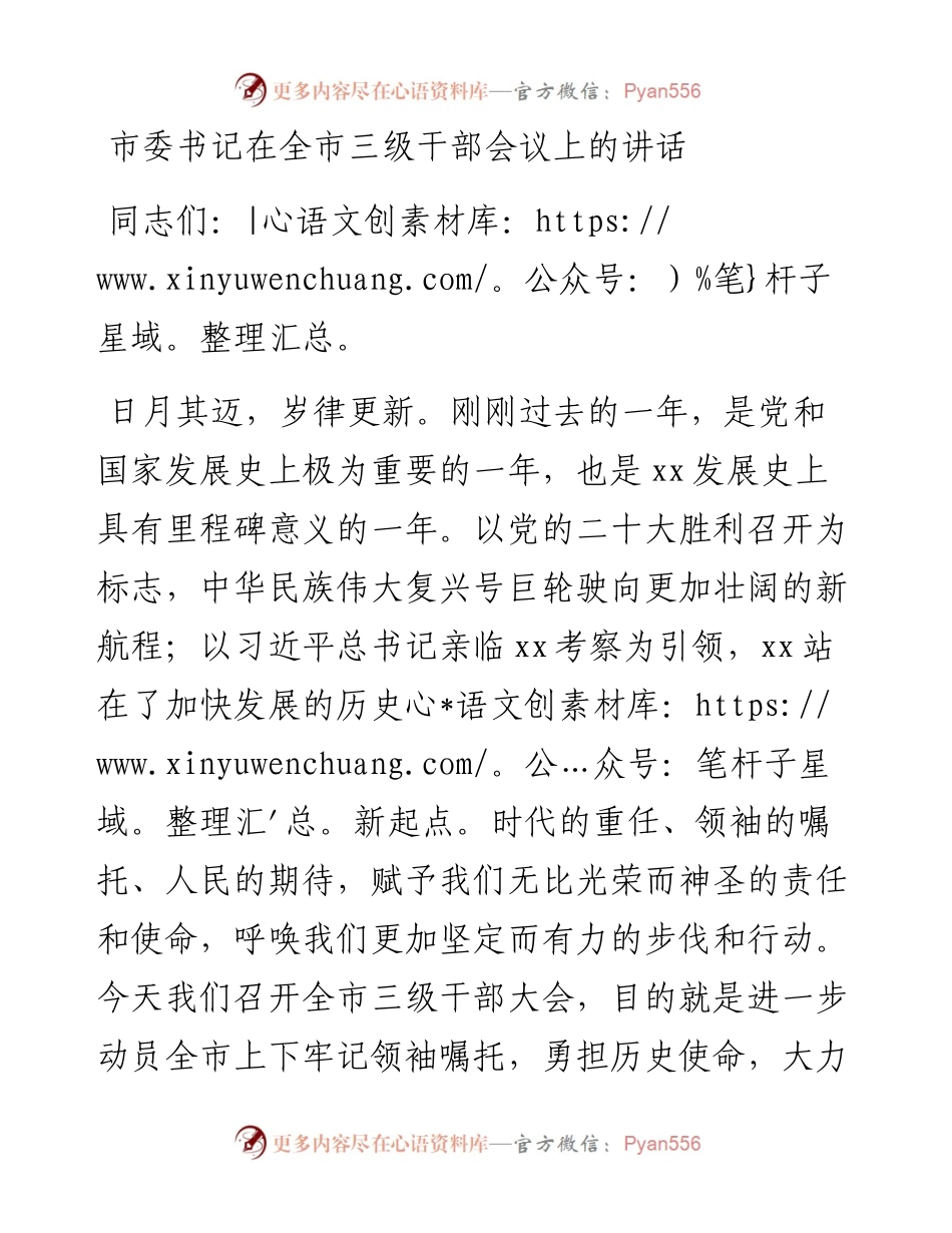 市委书记在全市三级干部会议上的讲话.docx_第1页