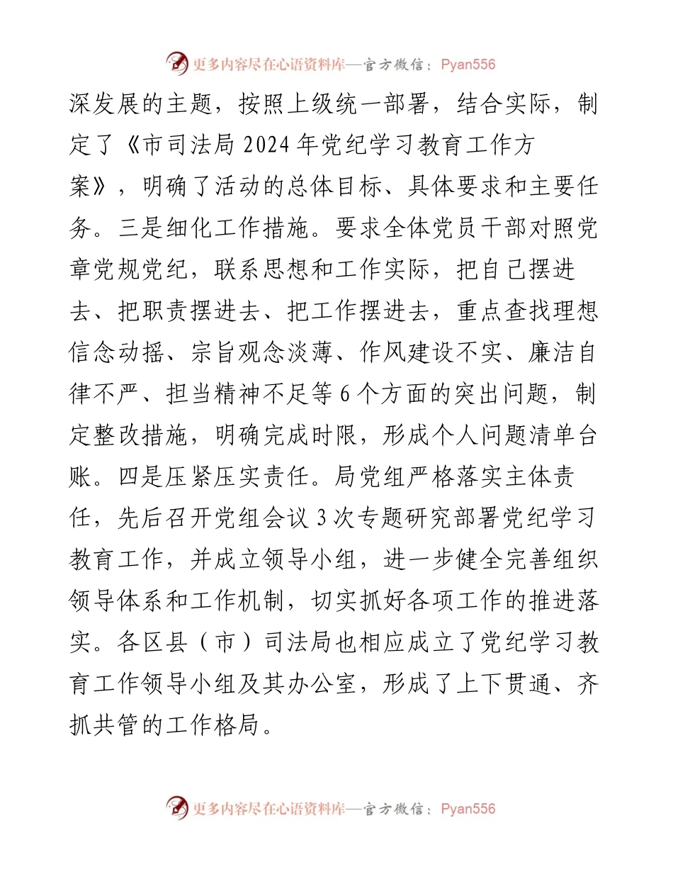 市司法局关于开展政治纪律和政治规矩执行情况专项监督检查工作报告.docx_第2页