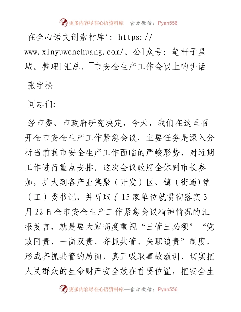 张宇松：在全市安全生产工作会议上的讲话.docx_第1页