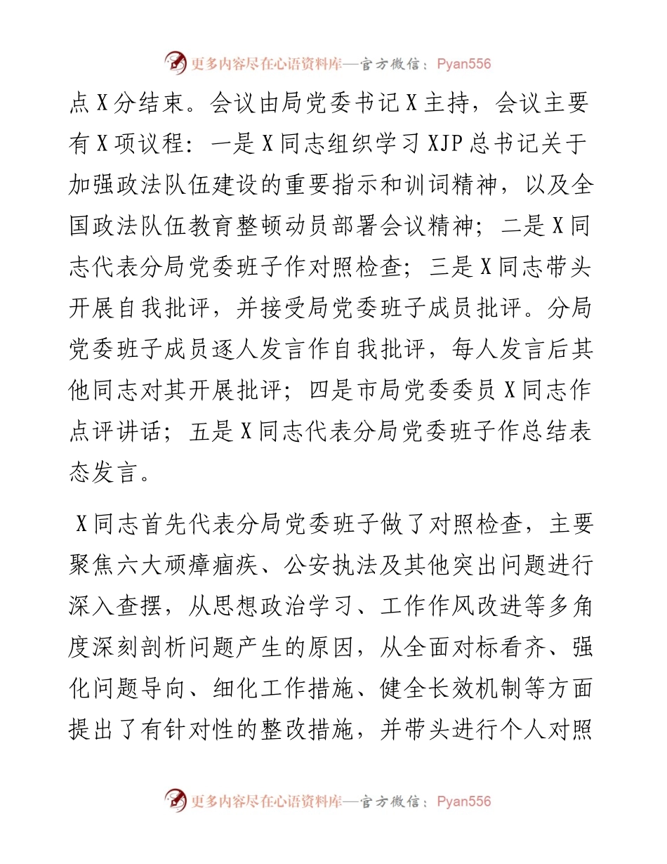 政法队伍教育整顿专题民主生活会情况总结报告.docx_第2页