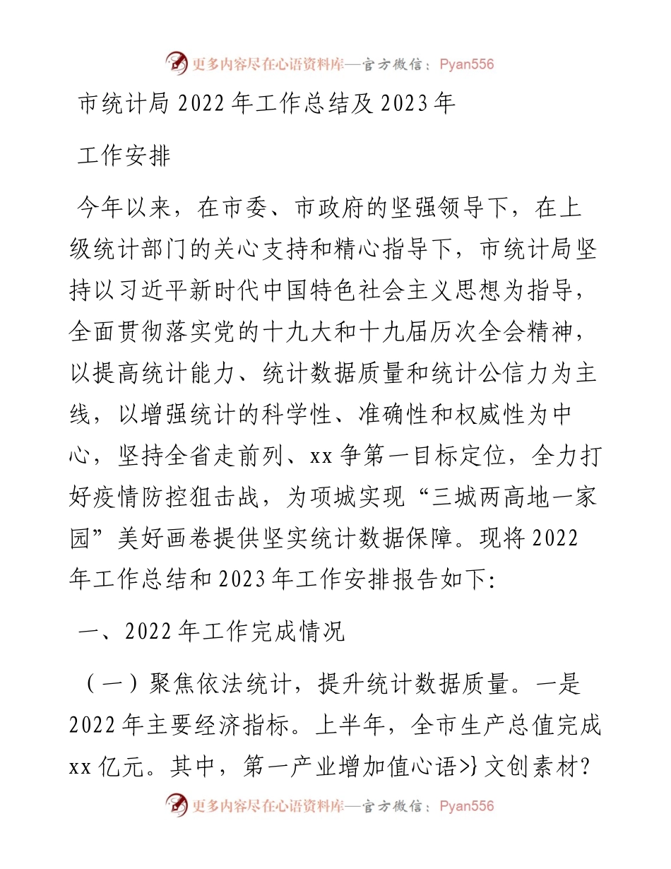 市统计局工作总结及2023年工作安排.docx_第1页