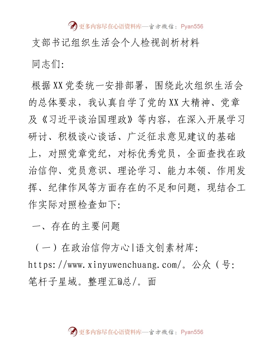 支部书记组织生活会个人检视剖析材料.docx_第1页