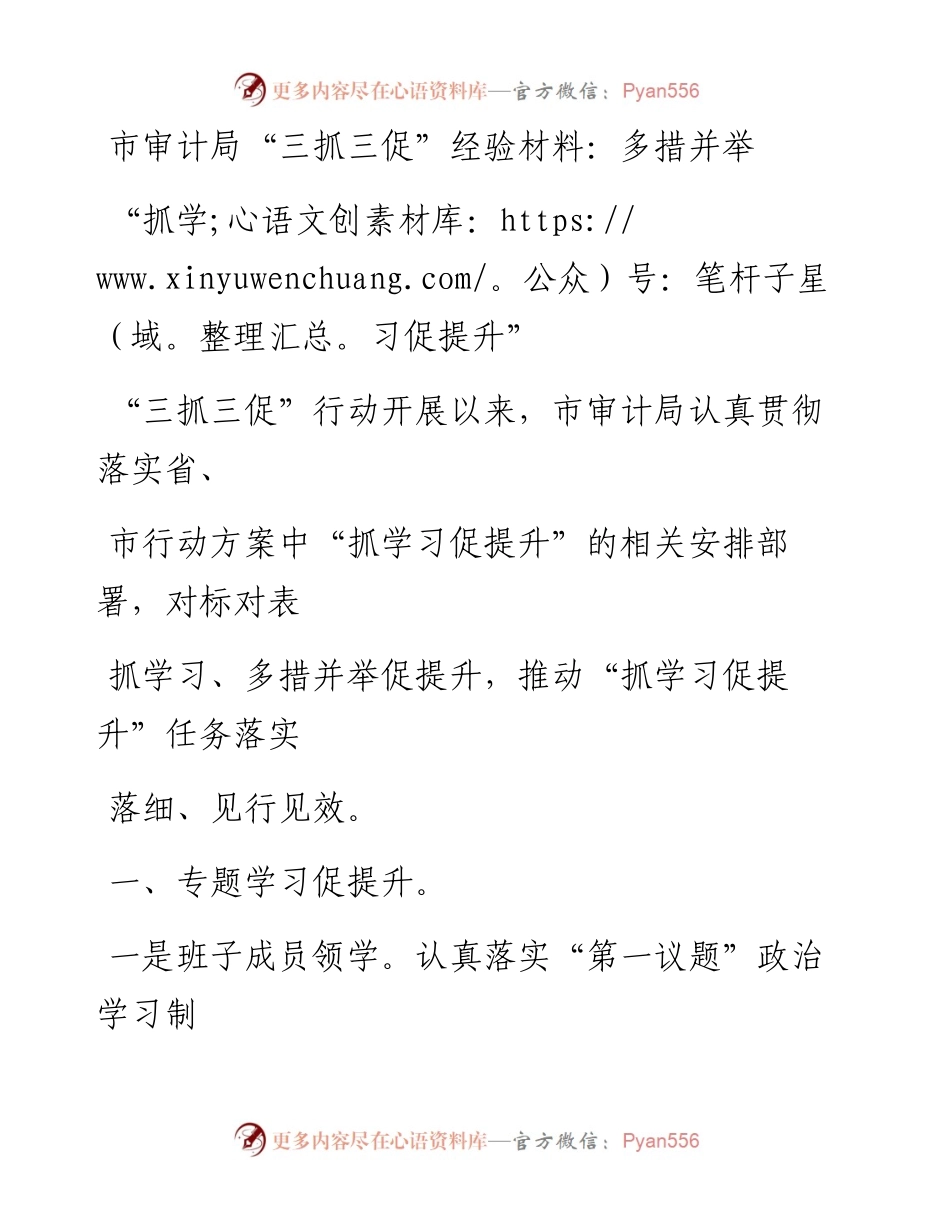 市审计局“三抓三促”经验材料：多措并举“抓学习促提升”.docx_第1页