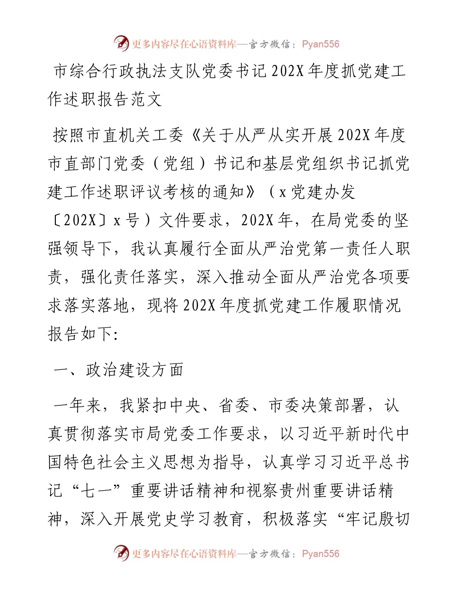 市综合行政执法支队党委书记202X年度抓党建工作述职报告范文.docx_第1页