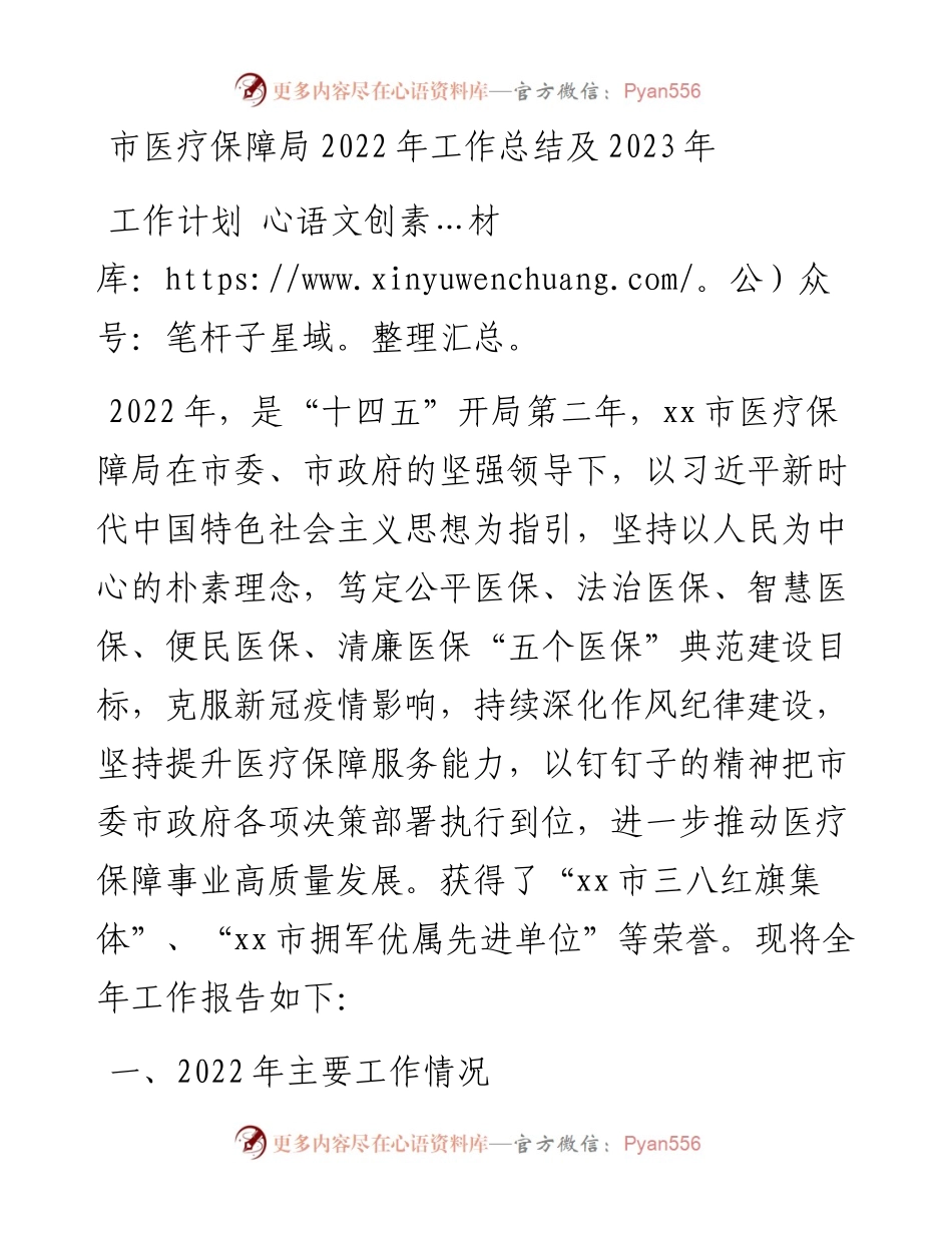 市医疗保障局工作总结及2023年工作计划.docx_第1页