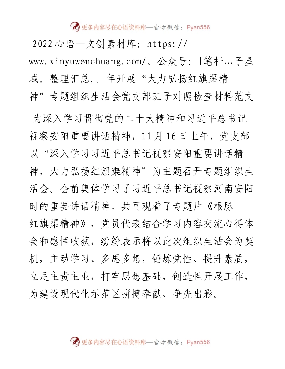 开展“大力弘扬红旗渠精神”专题组织生活会党支部班子对照检查材料范文.docx_第1页