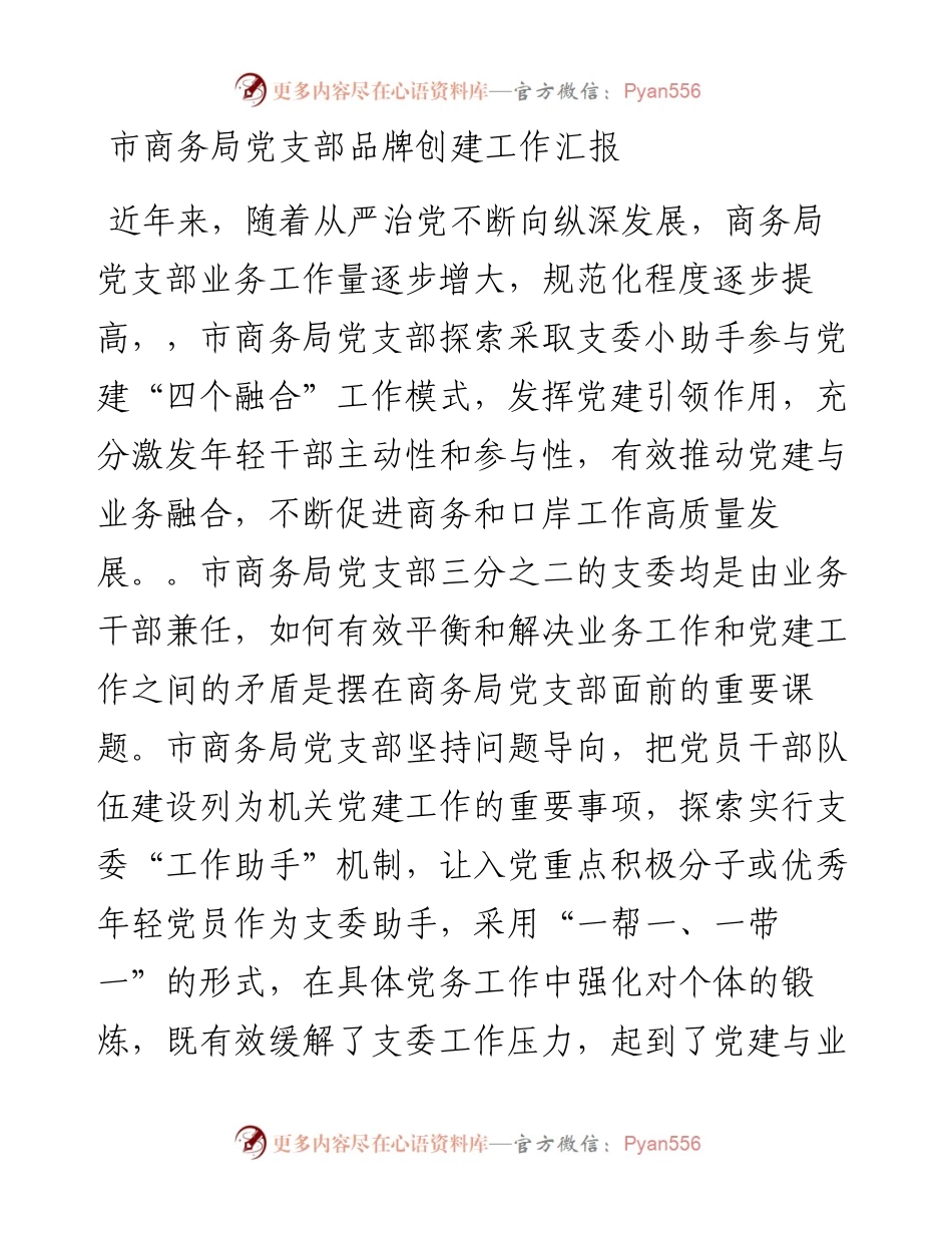 市商务局党支部品牌创建工作汇报.docx_第1页