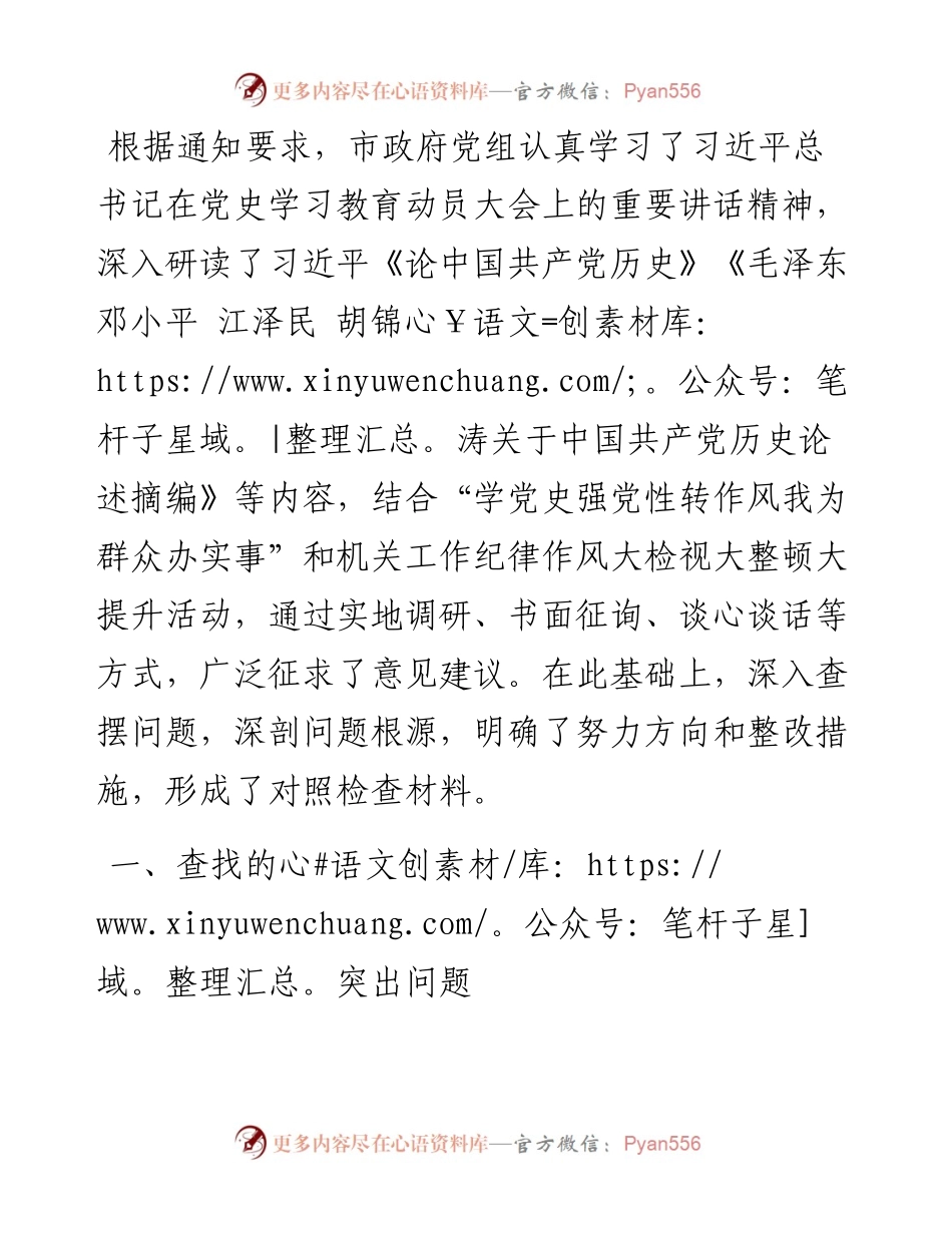 市政府党组专题民主生活会对照检查材料.docx_第1页