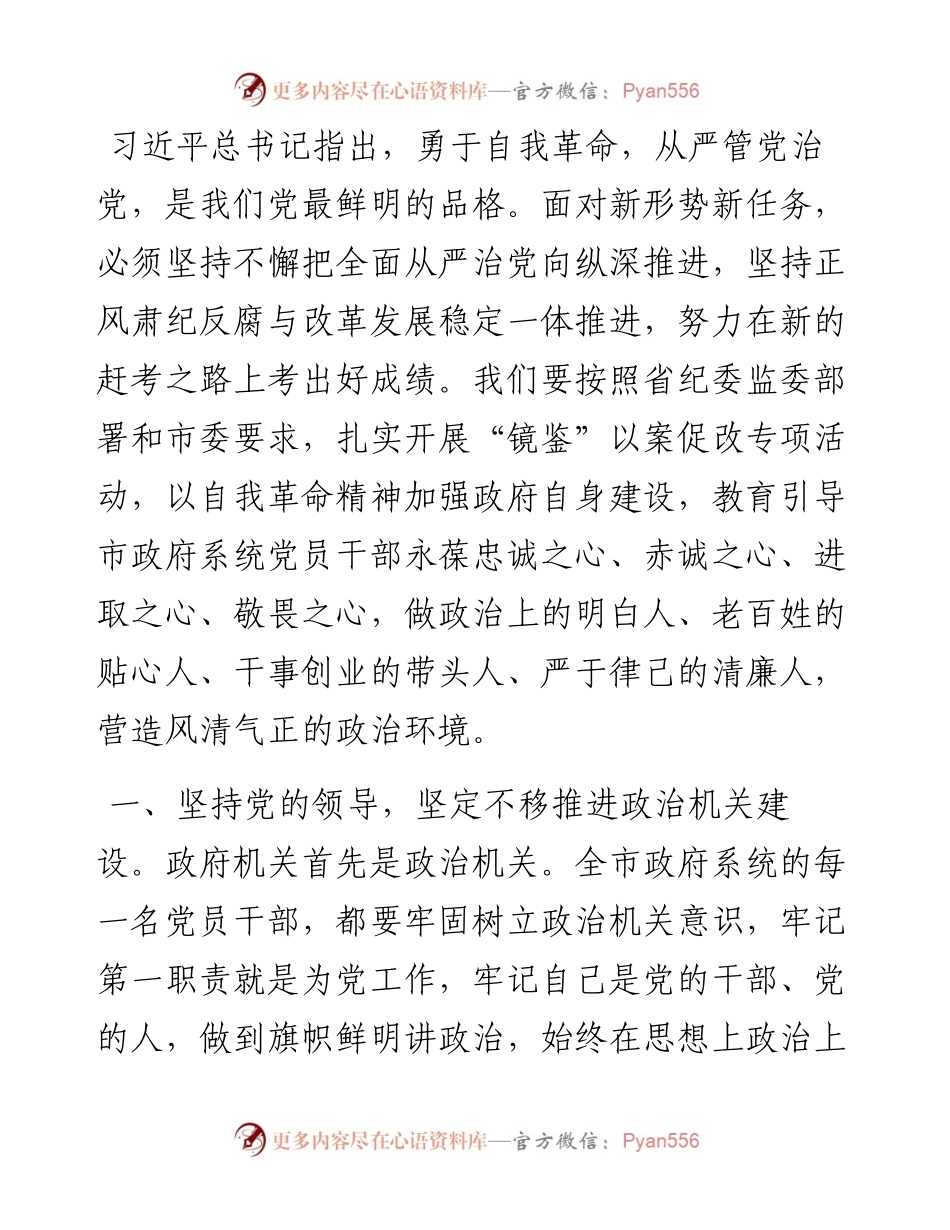 政府班子以案促改研讨发言提纲.docx_第1页