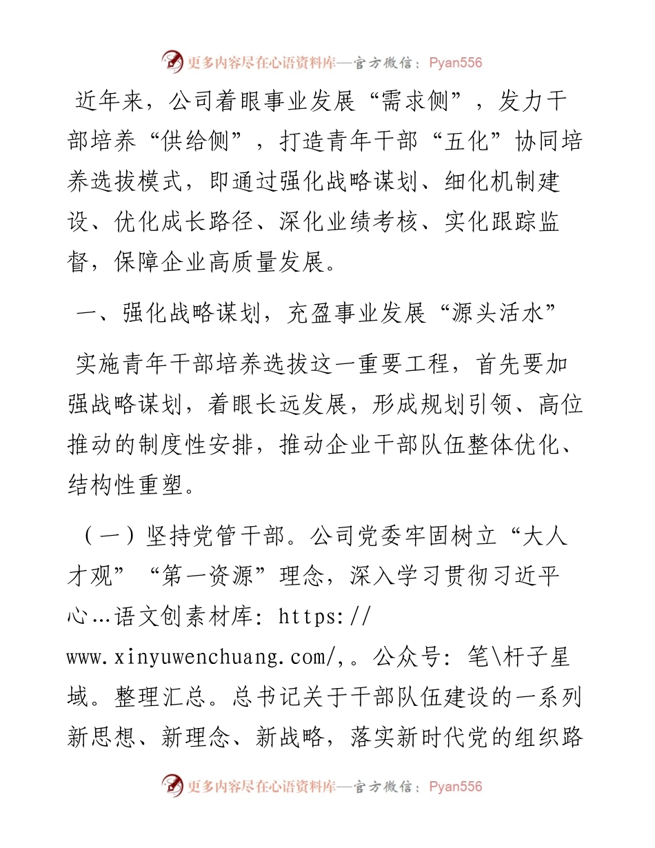 干部队伍建设经验交流材料：“五化”协同强化青年干部培养.docx_第1页
