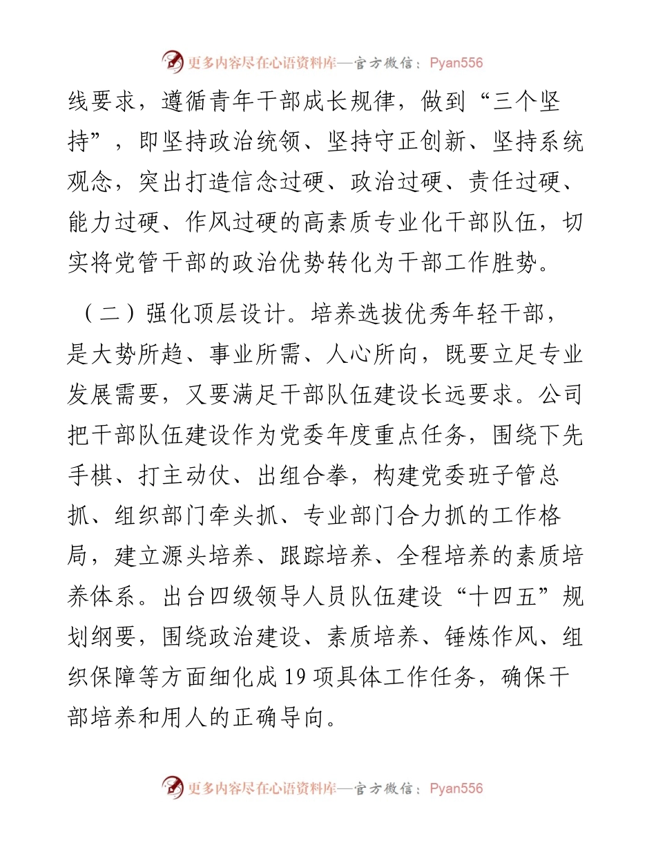 干部队伍建设经验交流材料：“五化”协同强化青年干部培养.docx_第2页