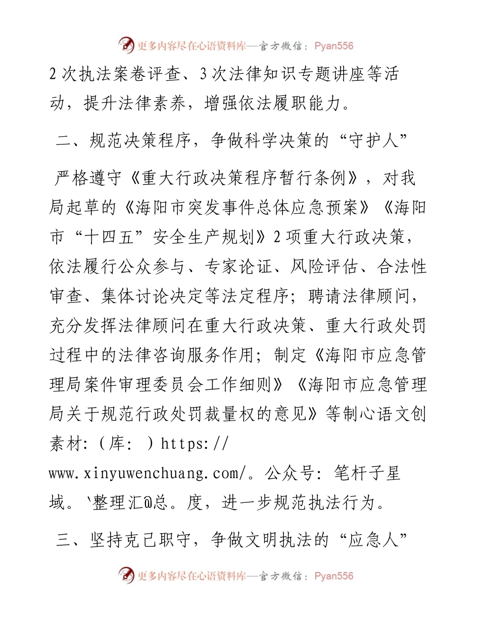 市应急管理局党政主要负责人度述法报告.docx_第2页