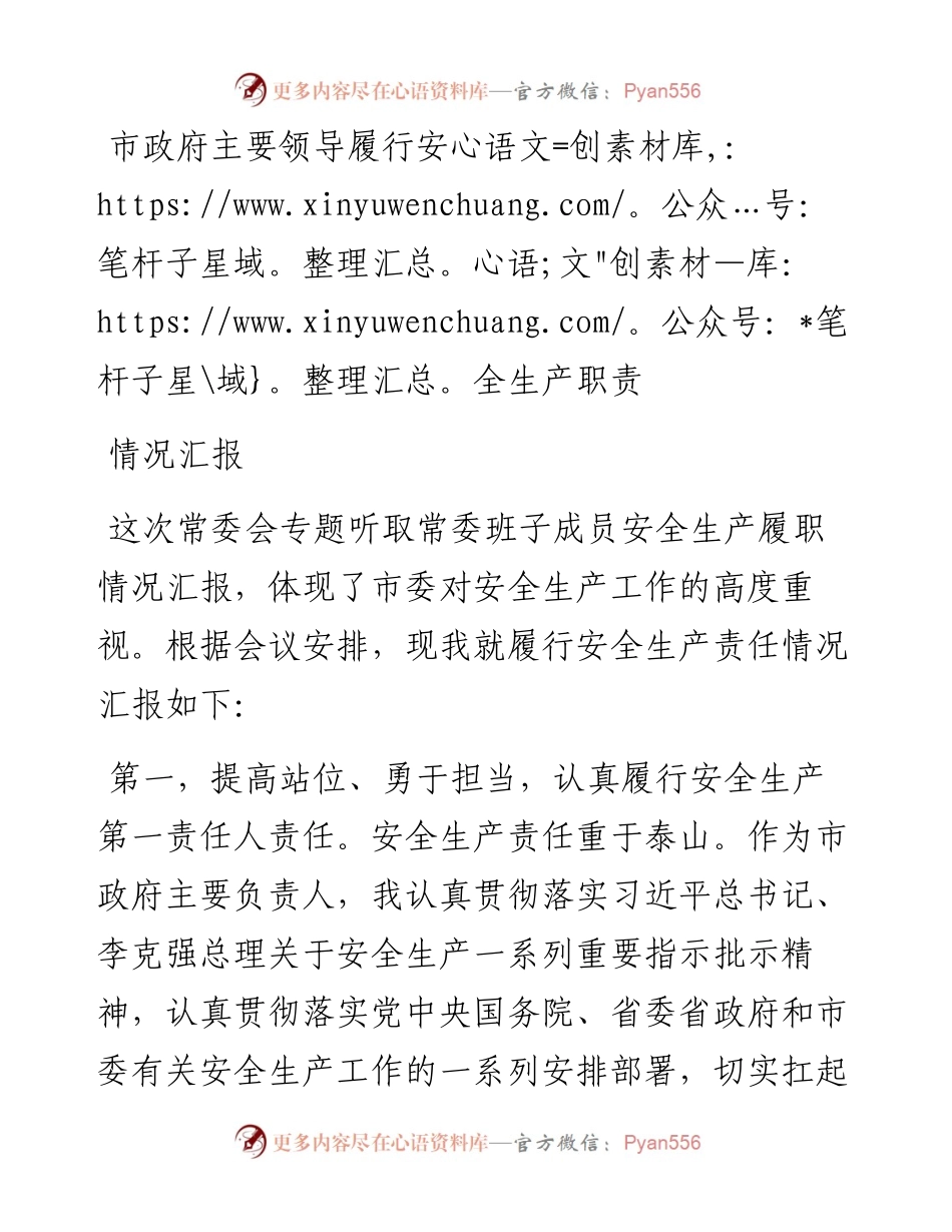 市政府主要领导履行安全生产职责情况汇报.docx_第1页