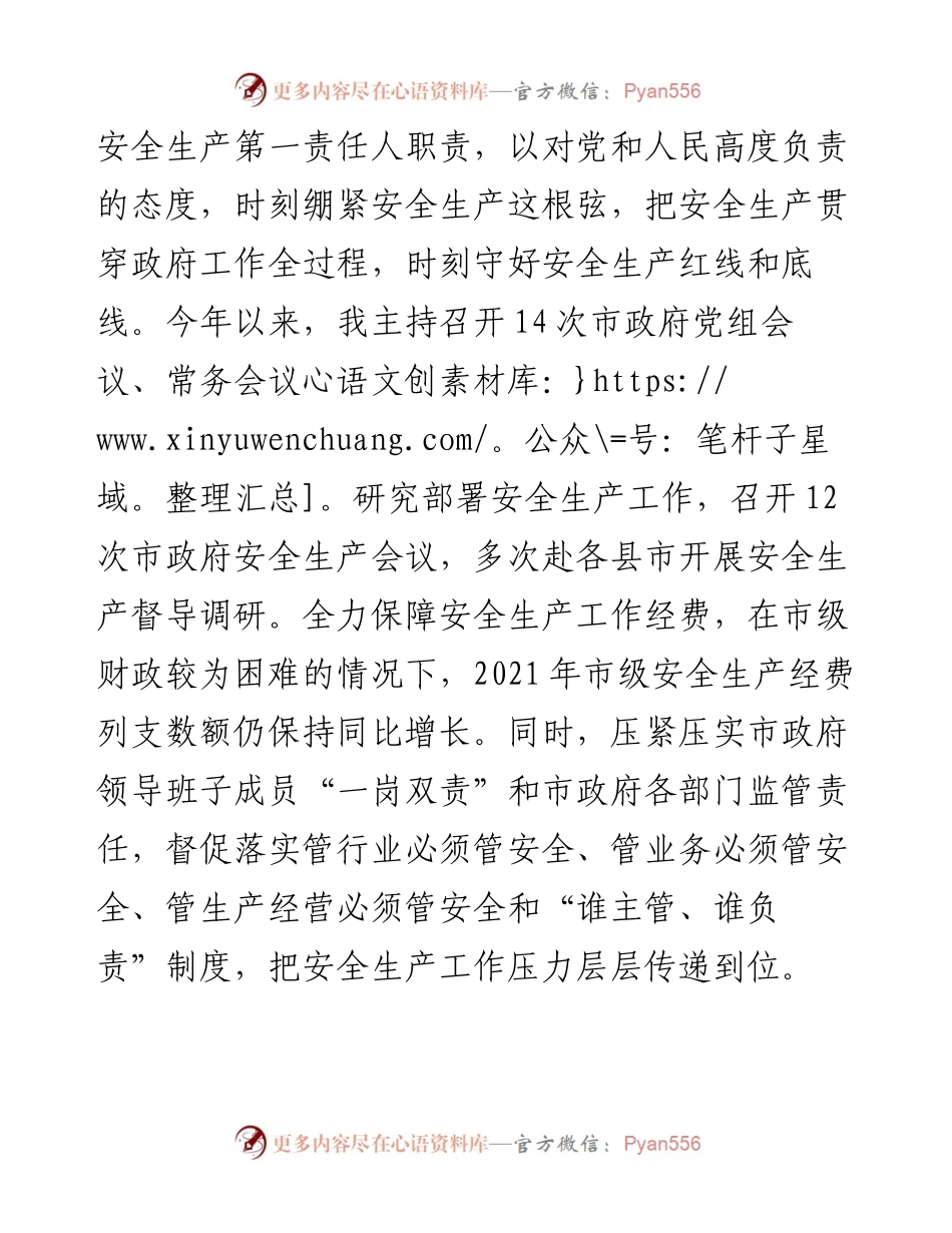 市政府主要领导履行安全生产职责情况汇报.docx_第2页