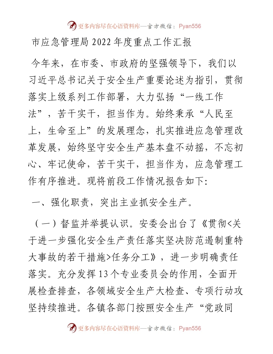 市应急管理局度重点工作汇报.docx_第1页
