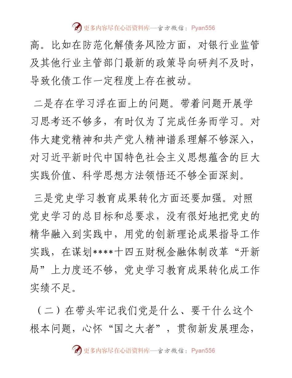 常务副市长党史学习教育五个带头专题民主生活会对照检查材料.docx_第2页