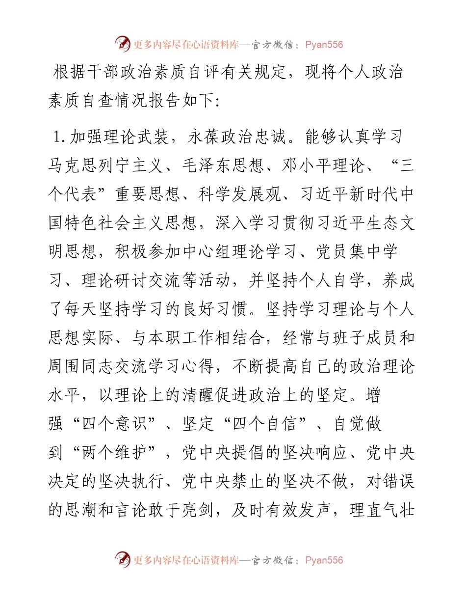 市环保局领导干部政治素质自查报告.docx_第1页