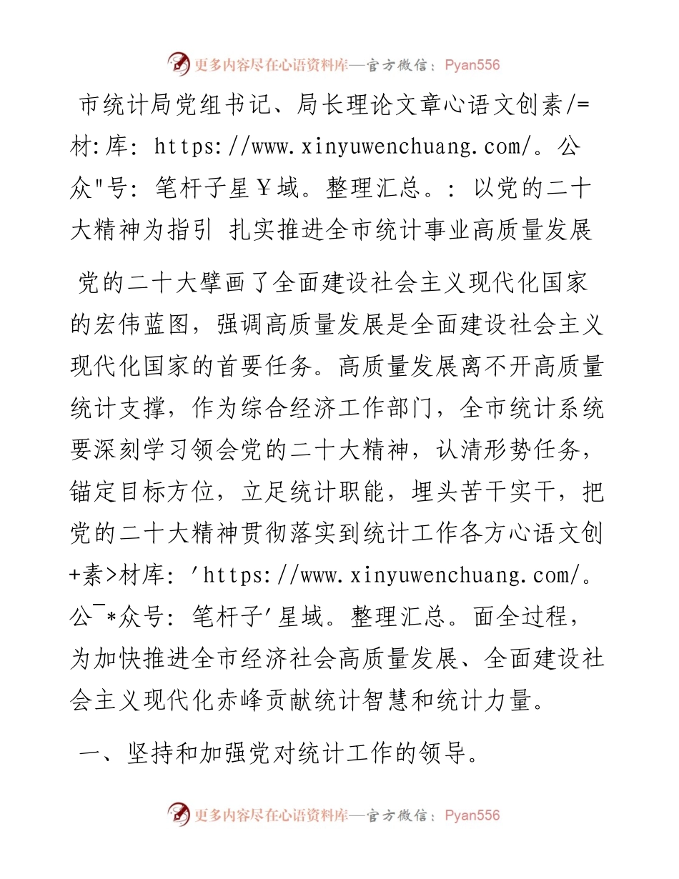 市统计局党组书记、局长理论文章：以党的二十大精神为指引 扎实推进全市统计事业高质量发展.docx_第1页