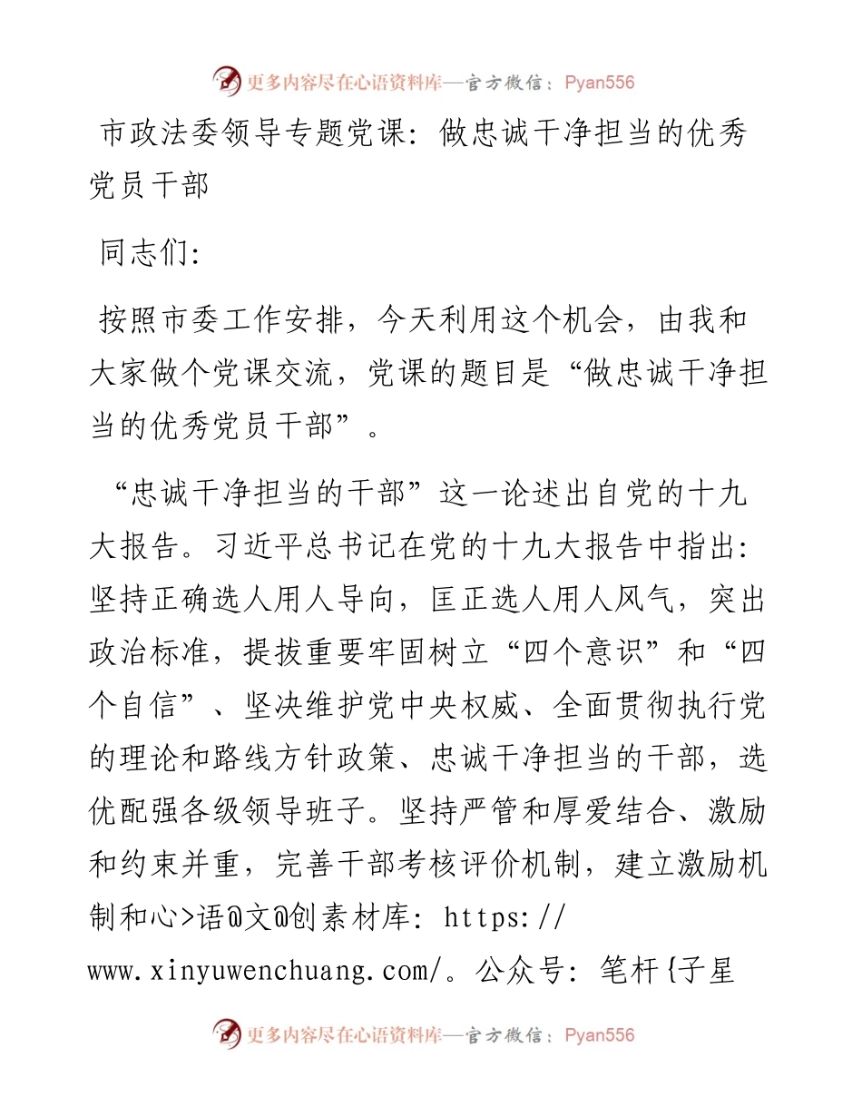 市政法委领导专题党课：做忠诚干净担当的优秀党员干部.docx_第1页