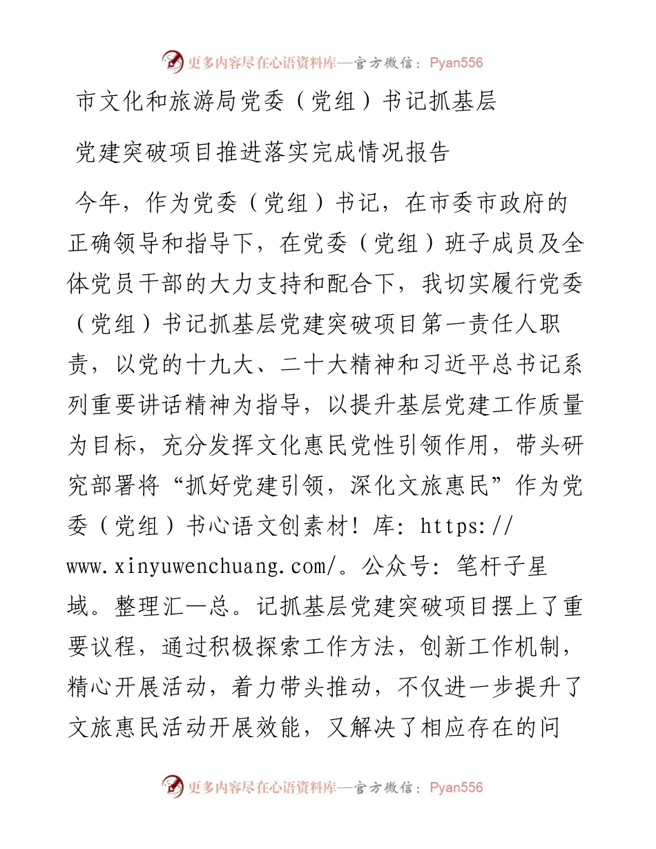 市文化和旅游局党委（党组）书记抓基层党建突破项目推进落实完成情况报告.docx_第1页