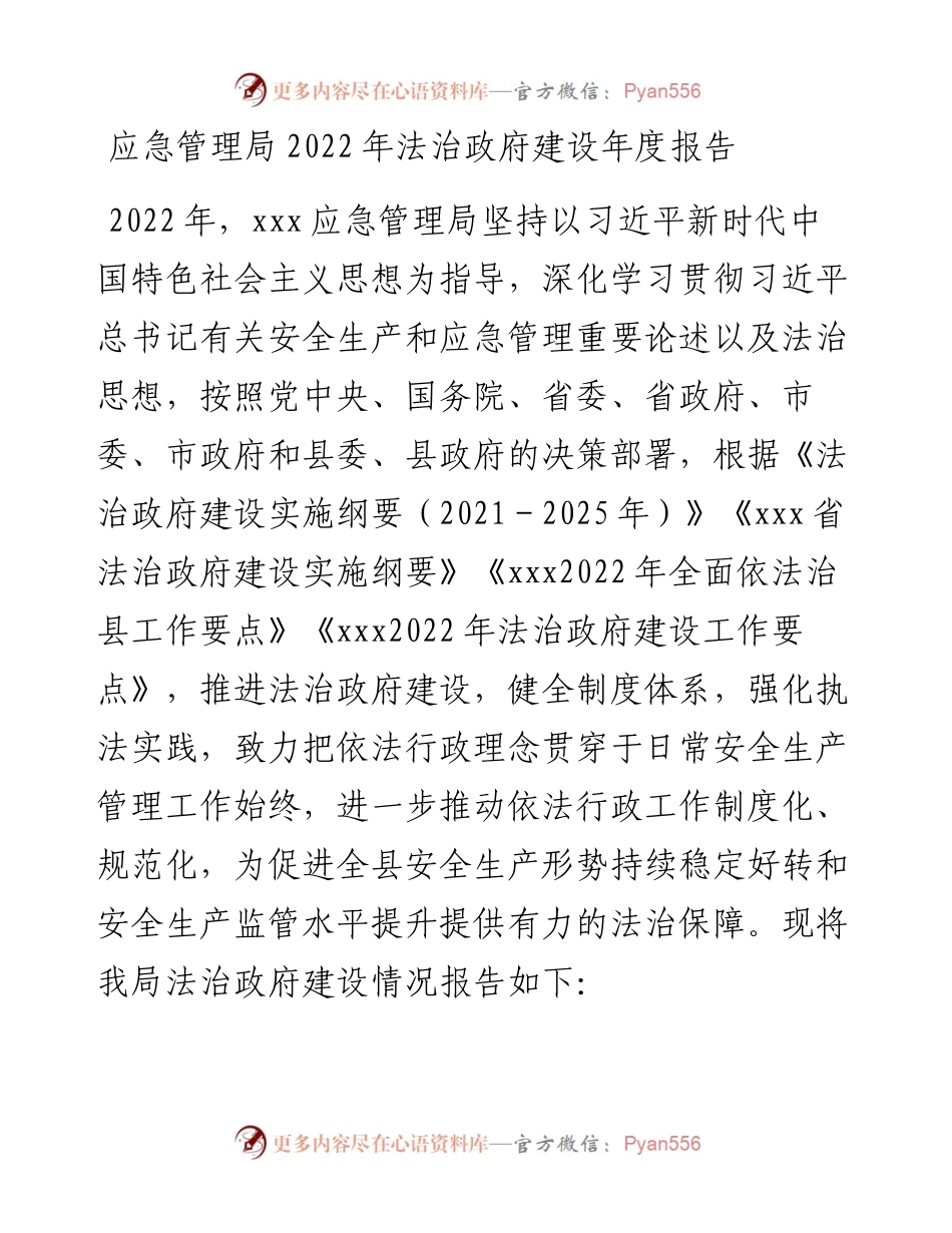 应急管理局法治政府建设年度报告.docx_第1页