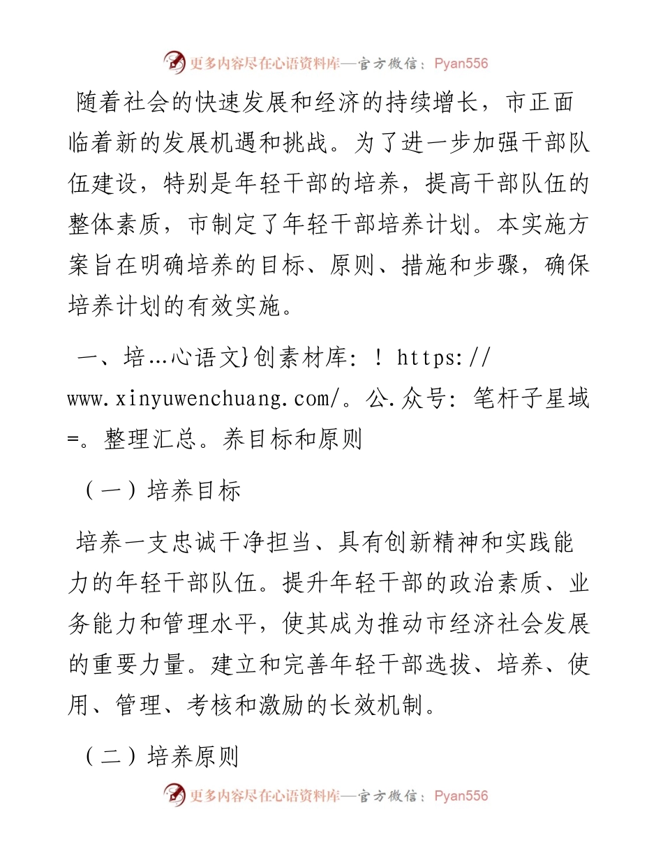 市年轻干部培养计划的实施方案.docx_第1页