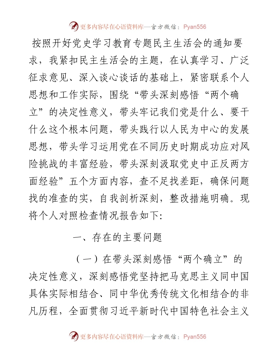 政府领导专题民主生活会五个方面对照检查材料.docx_第1页