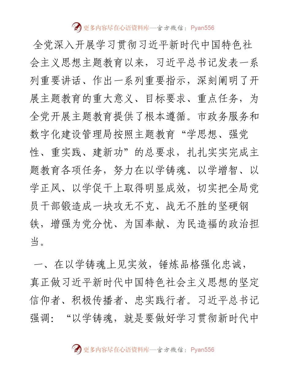 市政数局在市委主题教育专题调研督导会上的汇报发言.docx_第1页