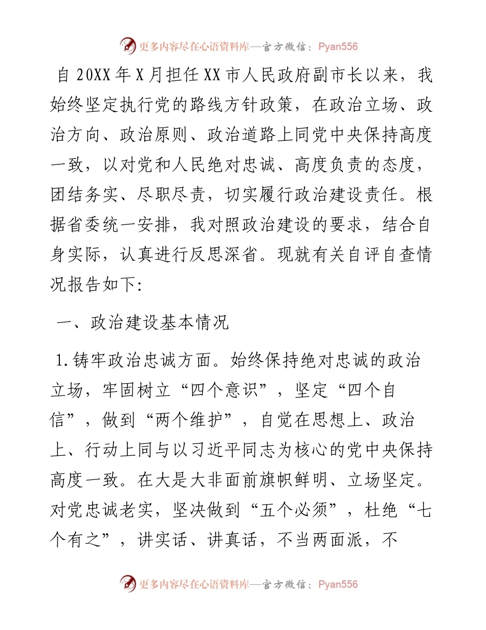 常务副市长个人政治建设自评自查材料.docx_第1页