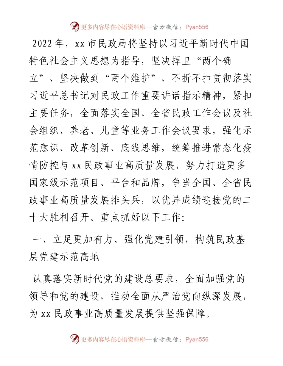 市民政局工作安排.docx_第1页