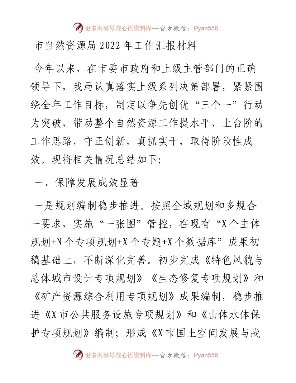 市自然资源局工作汇报材料.docx_第1页
