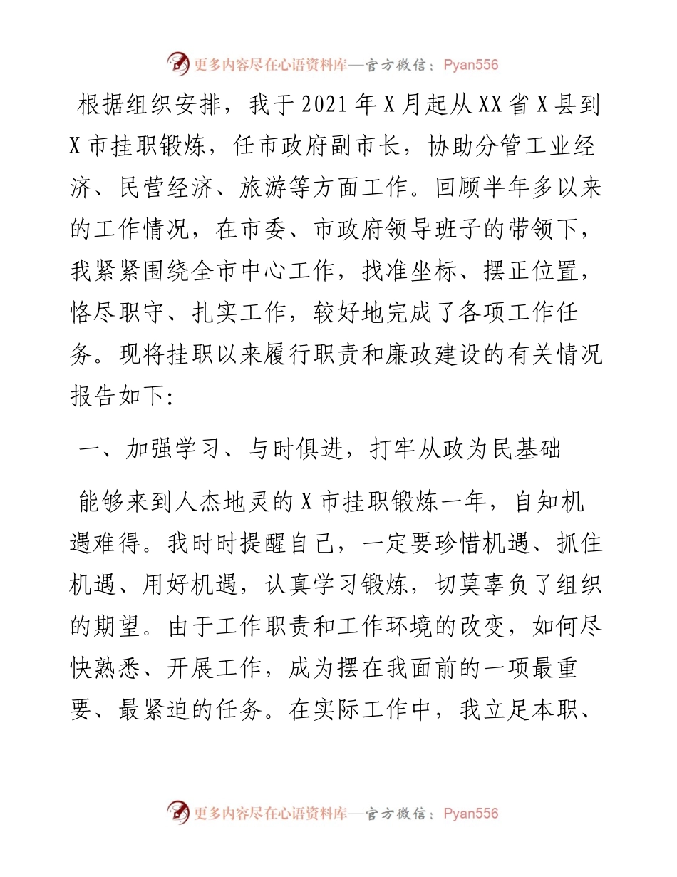 挂职副市长述职述廉报告.docx_第1页