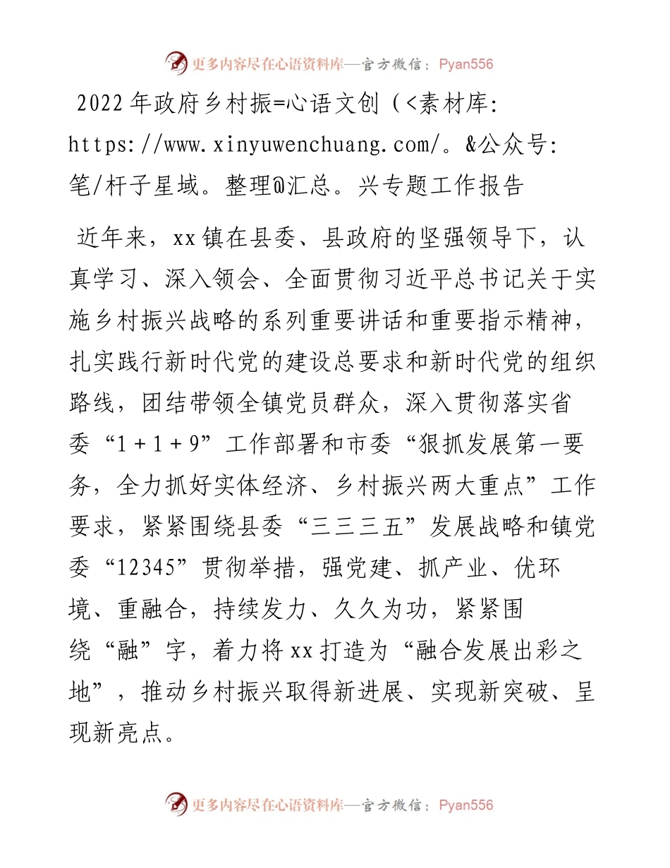 政府乡村振兴专题工作报告.docx_第1页