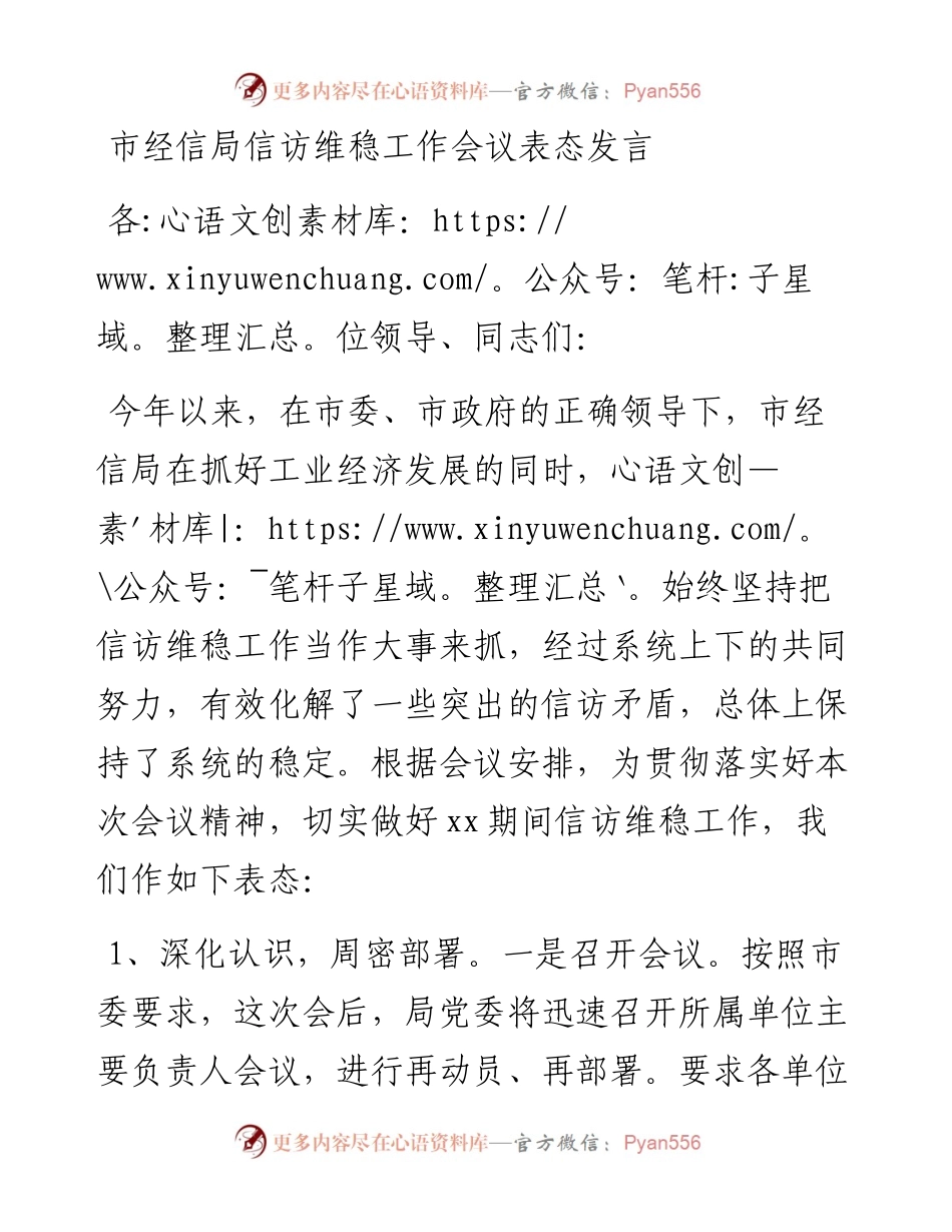 市经信局信访维稳工作会议表态发言.docx_第1页