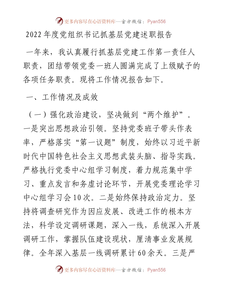 度党组织书记抓基层党建述职报告.docx_第1页